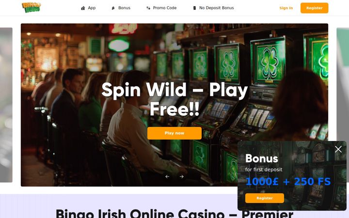 bingoirish.org