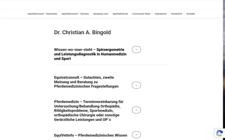 Screenshot του bingold.de