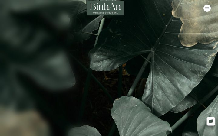 Screenshot του binhan.de