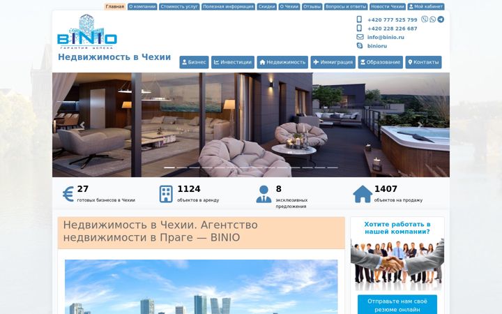 Screenshot of binio.ru