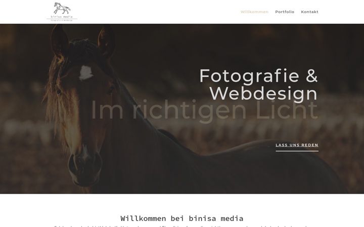 Screenshot του binisa-media.de