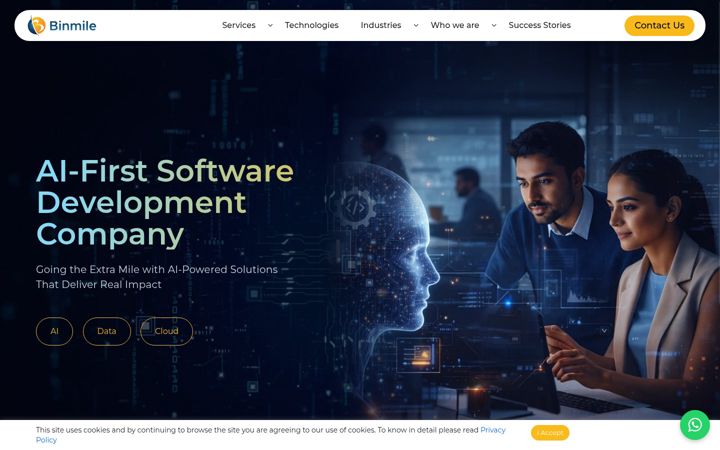 Screenshot of binmile.com