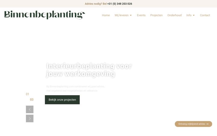 Screenshot of binnenbeplanting.com