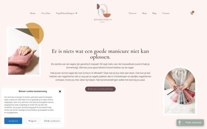 Snímek obrazovky binnendijk10.nl
