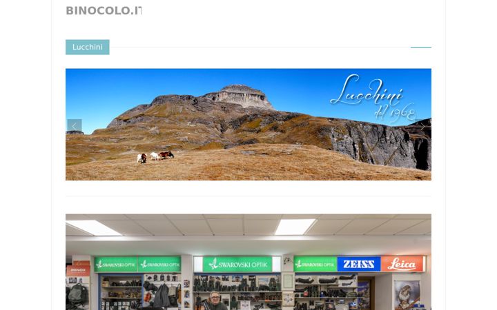 Screenshot of binocolo.eu