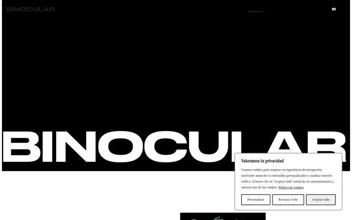 Screenshot of binocularroom.com