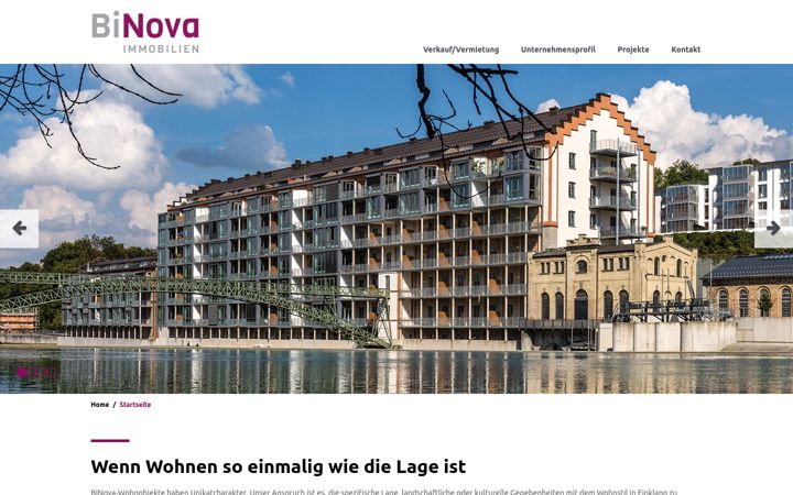 Screenshot of binova-gruppe.de