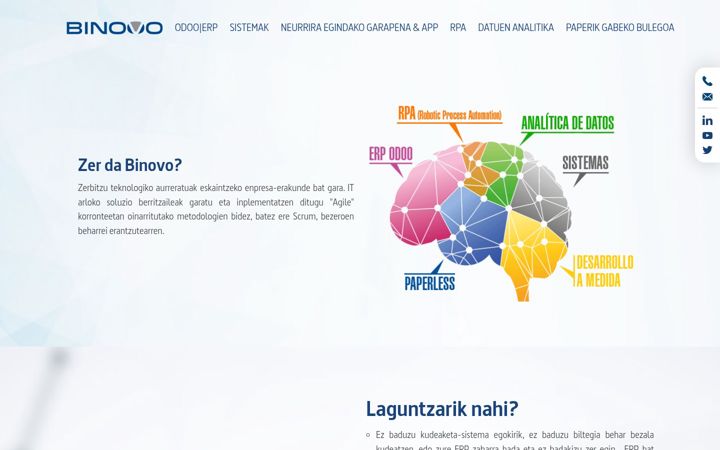 Screenshot of binovo.eus
