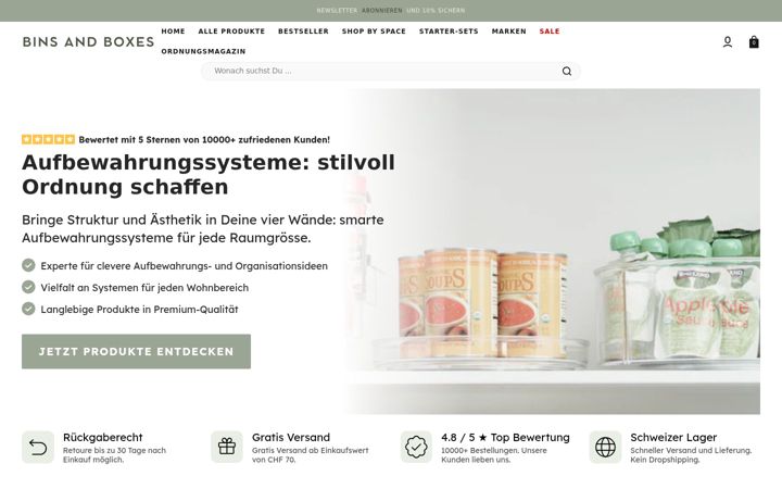 Screenshot stránky binsandboxes.ch