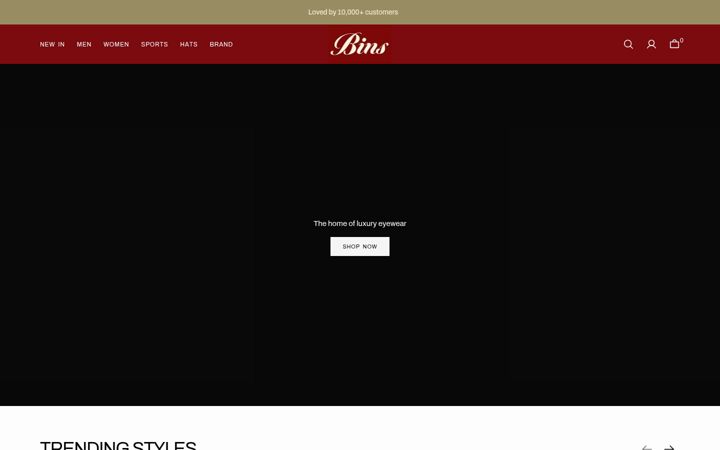 Screenshot of binslondon.com