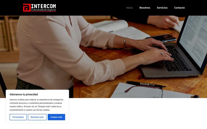 Screenshot of bintercom.es