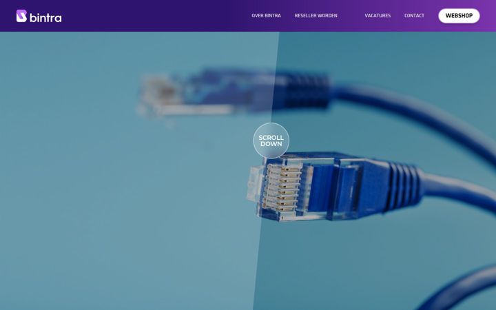 bintra.nl