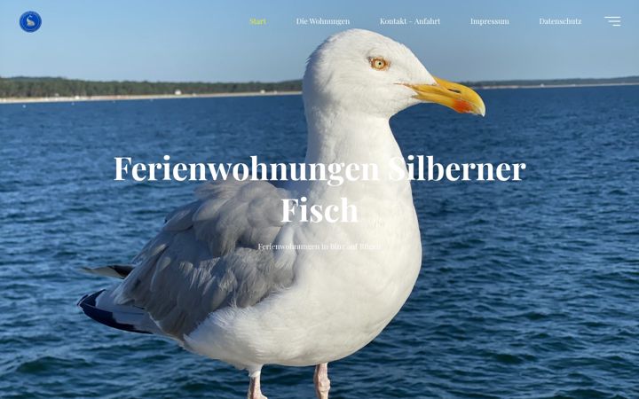 Screenshot of binz-silberner-fisch.de