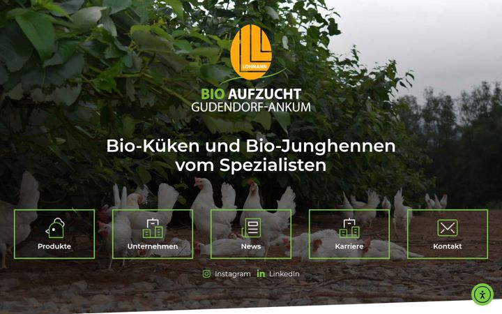 Skjámynd af bio-ga.de