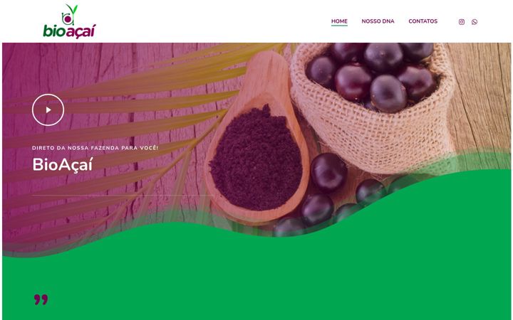 Screenshot of bioacai.online