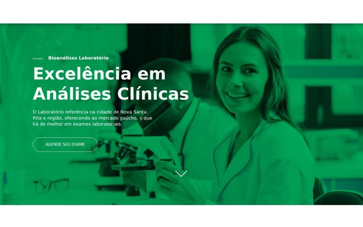 Skärmbild av bioanalises-rs.com.br