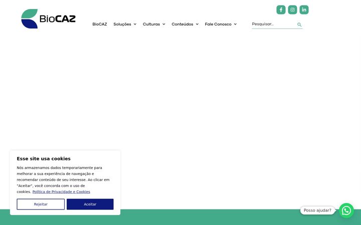 Skärmbild av biocaz.com.br