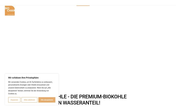 Screenshot of biochar-biokohle.de