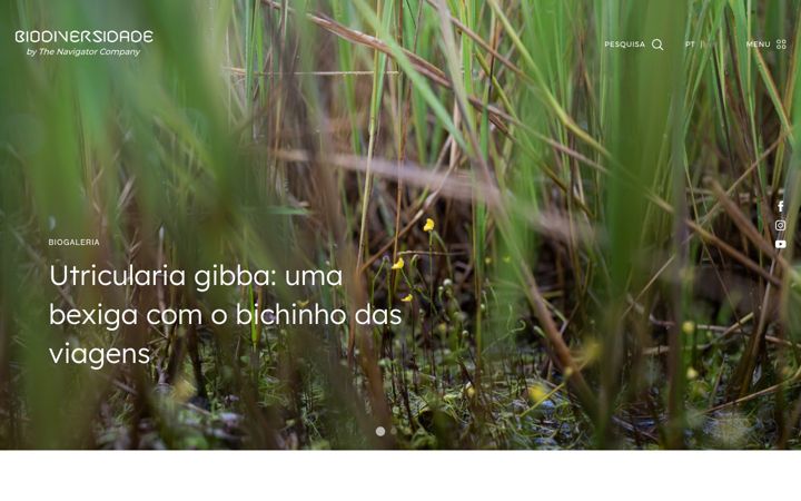 Screenshot of biodiversidade.com.pt