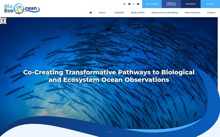 Screenshot of bioecoocean.eu