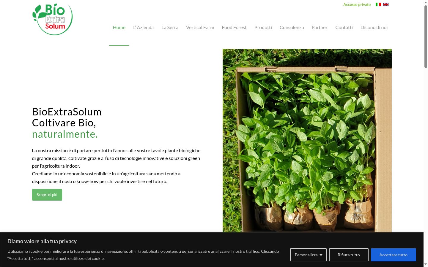 Sutikimo reklamjuostės, rodytos prieš bet kokią sąveiką, ekrano kopija