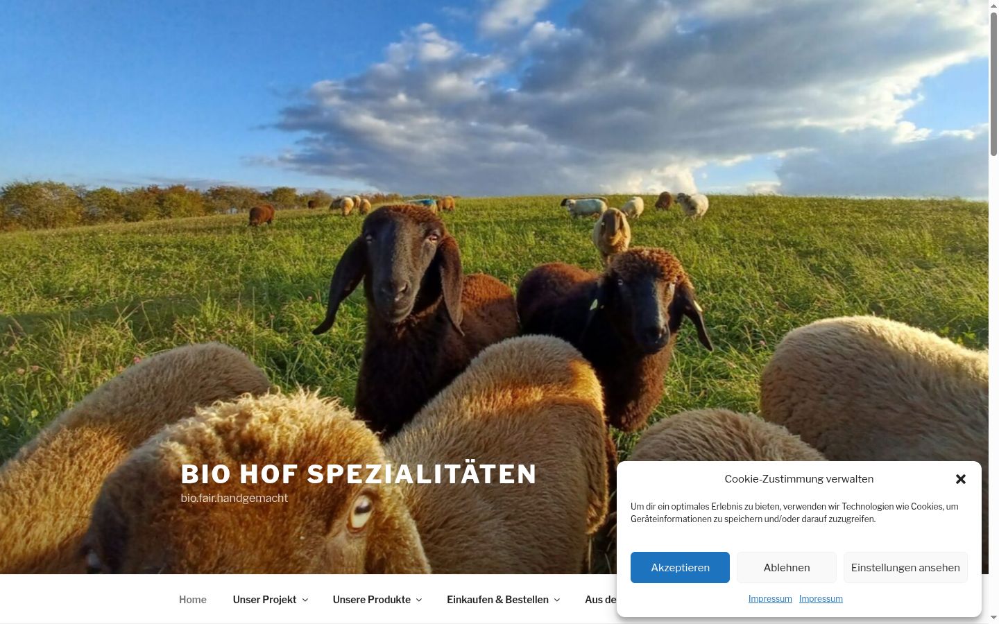 Skærmbillede af samtykkebanneret, som det blev vist før nogen interaktion
