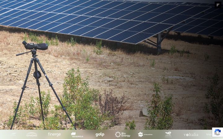 Screenshot van bioinsight.pt