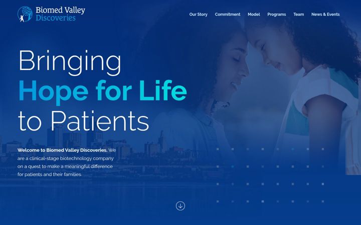 Screenshot of biomed-valley.com
