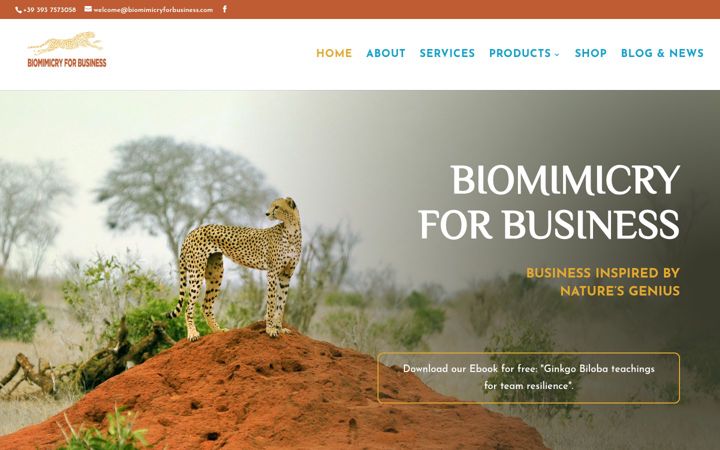 Screenshot of biomimicryforbusiness.com