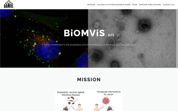 Screenshot of biomvis.com