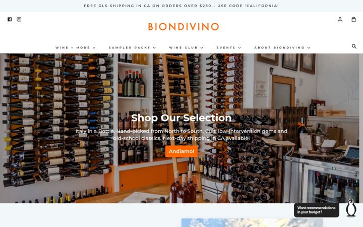 Screenshot of biondivino.com
