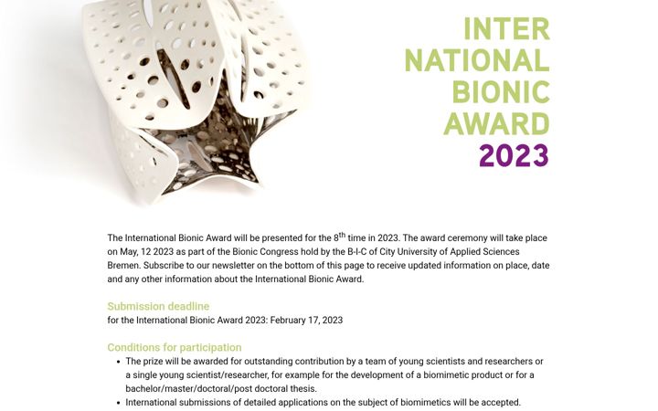 Screenshot of bionic-award.com
