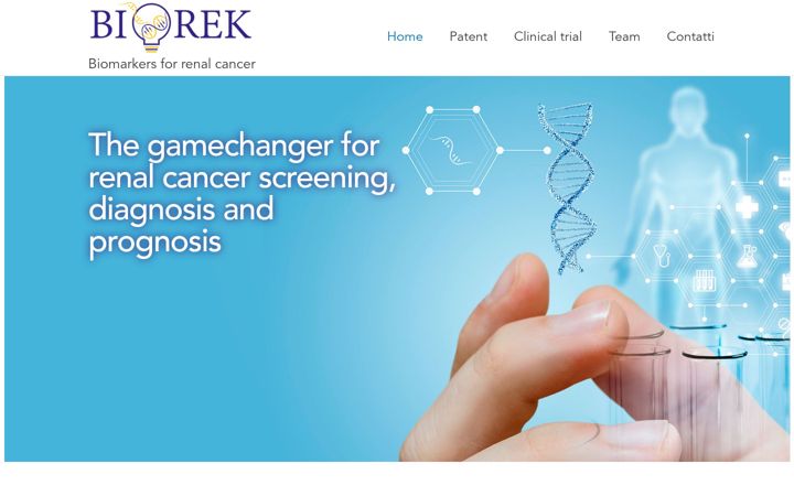 Screenshot of biorek.eu