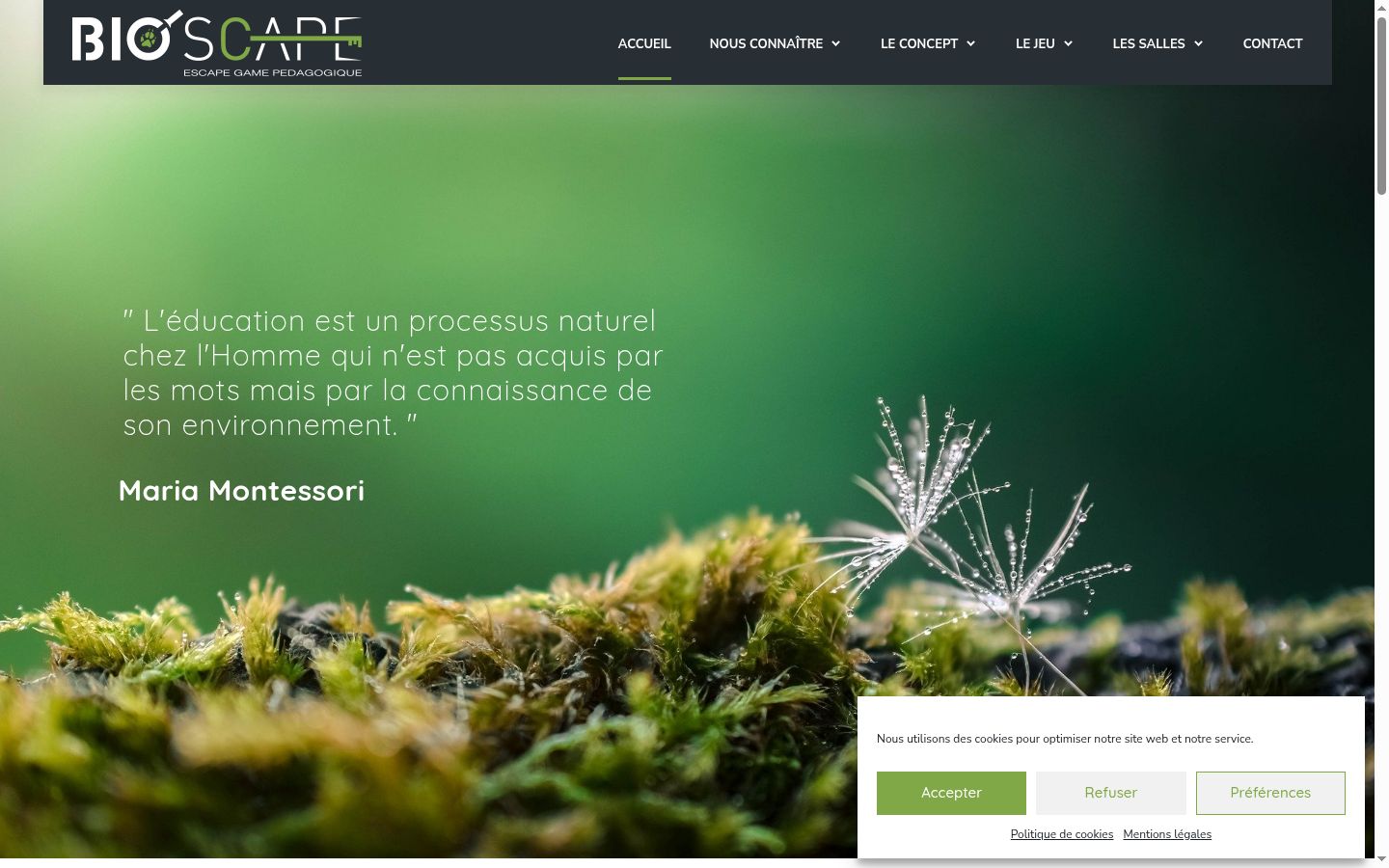 Screenshot of the consent banner shown before any interaction