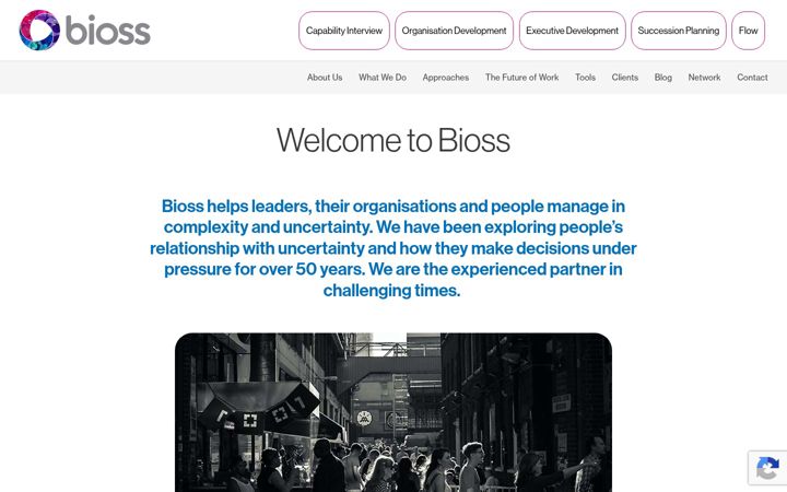 Screenshot of bioss.com