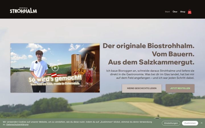 Screenshot of biostrohhalme.co.at