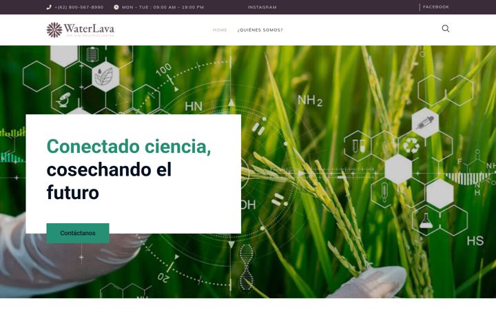 Screenshot of biosynergysolutions.com