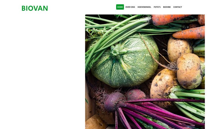 Zrzut ekranu biovanbv.be