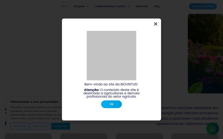 Screenshot του biovirtus.com.br