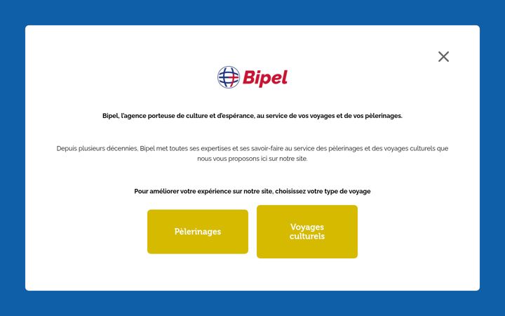 Zrzut ekranu bipel.com