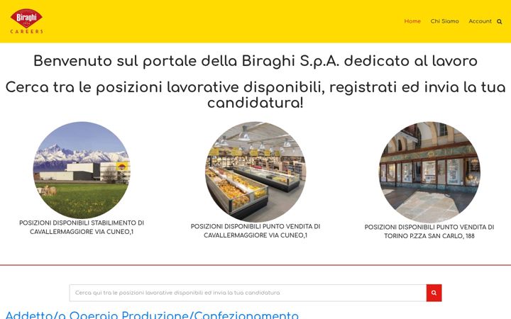 Screenshot of biraghicareers.it