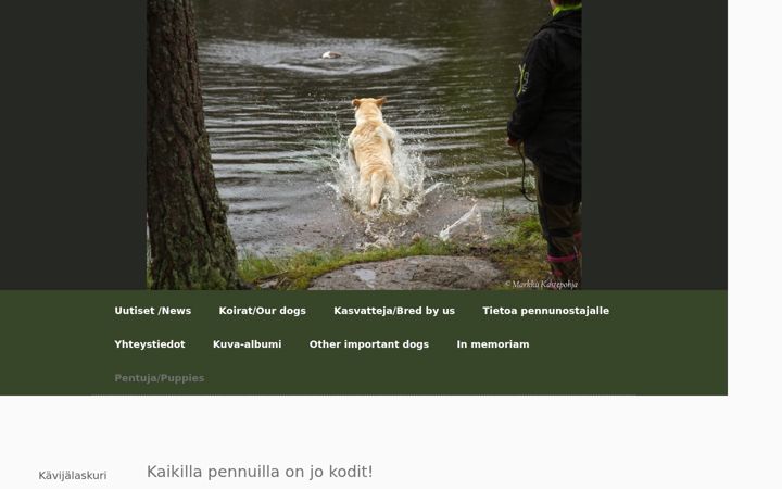 Screenshot of birchbrooks.com