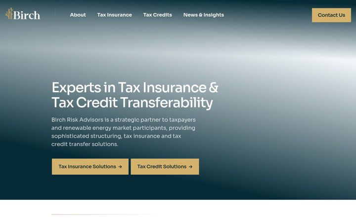 Screenshot of birchrisk.com