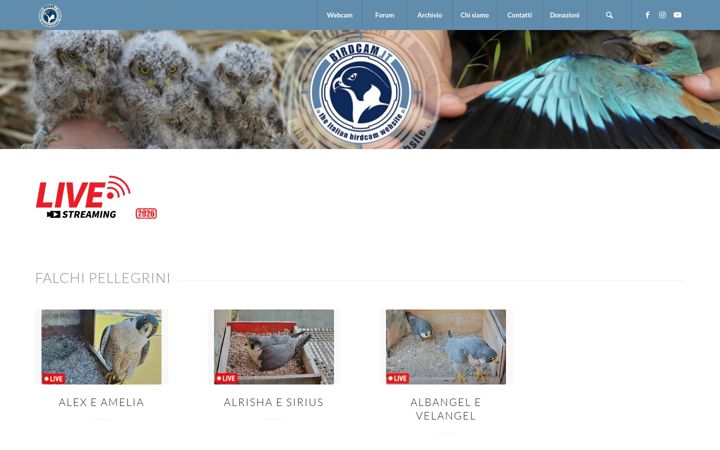 Screenshot of birdcam.it