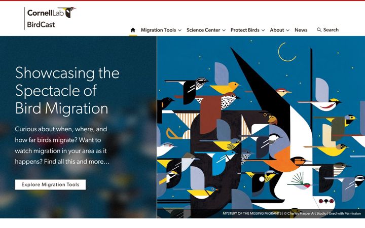 Screenshot of birdcast.org