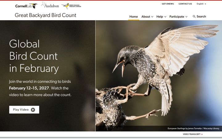 Screenshot of birdcount.org