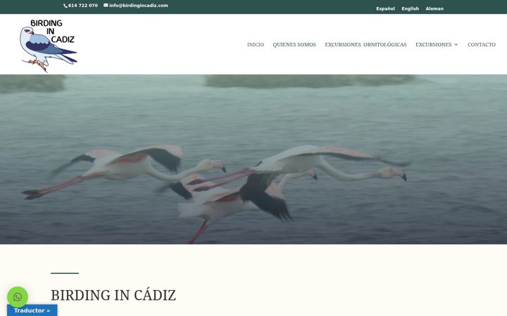 Screenshot von birdingincadiz.com