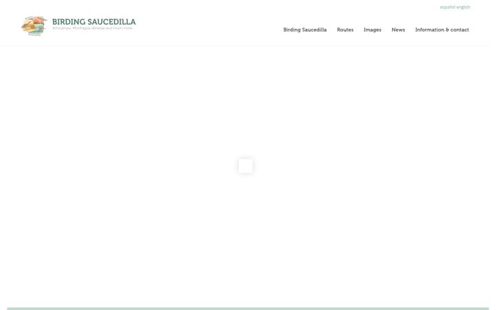 Skärmbild av birdingsaucedilla.com