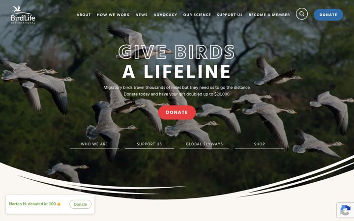 birdlife.org