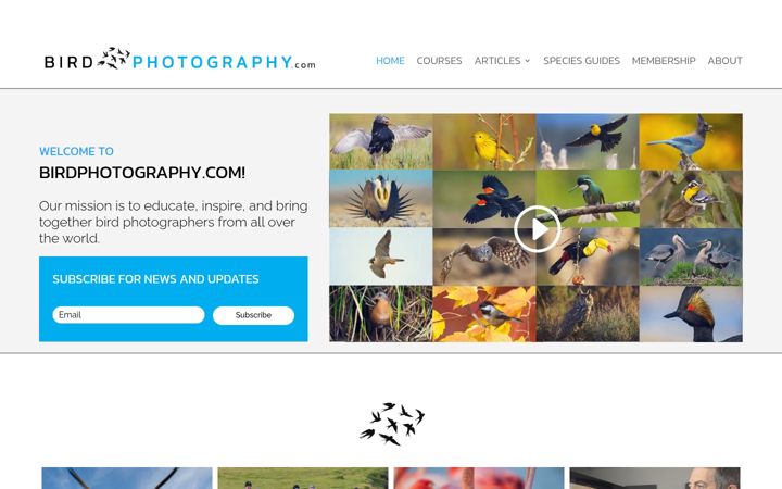 Screenshot von birdphotography.com